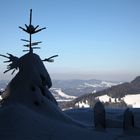 Allgäu-Troll