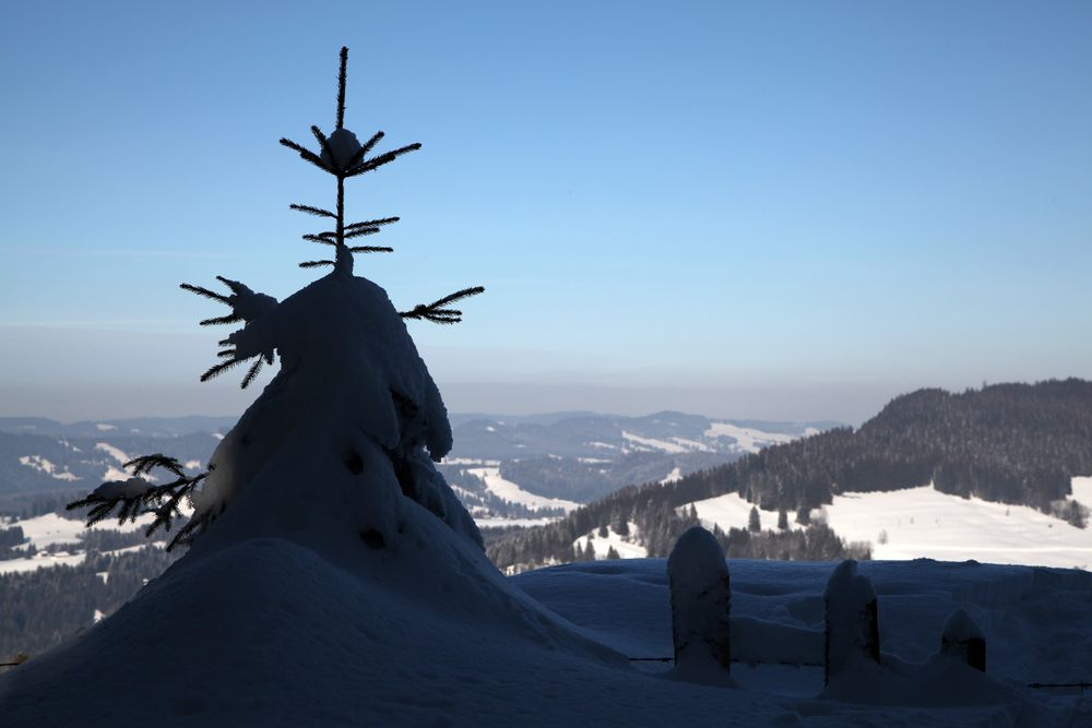 Allgäu-Troll