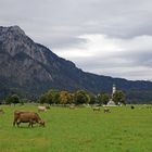 Allgäu, wie es sein soll