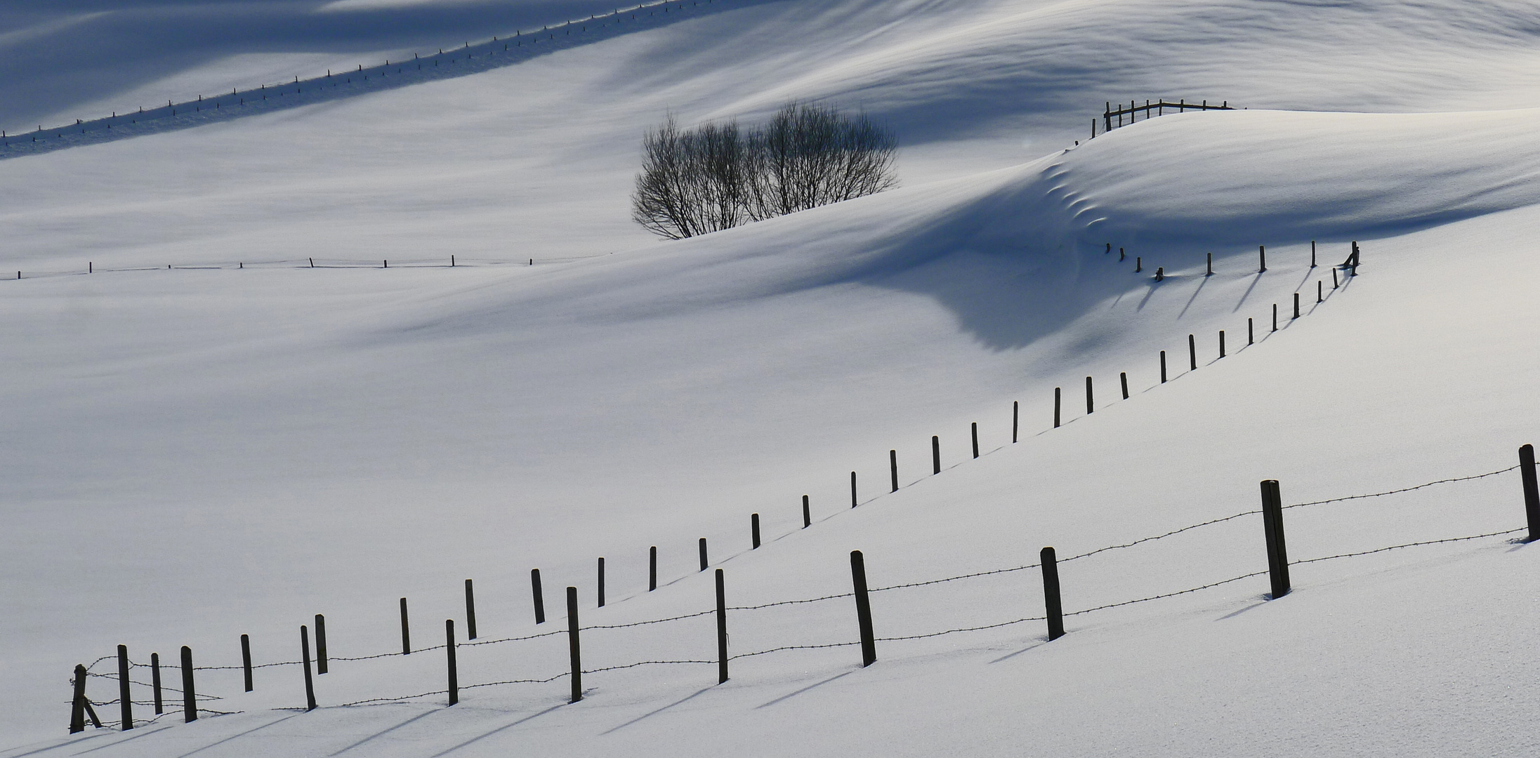 Allgäu-Winter pur