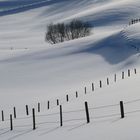 Allgäu-Winter pur
