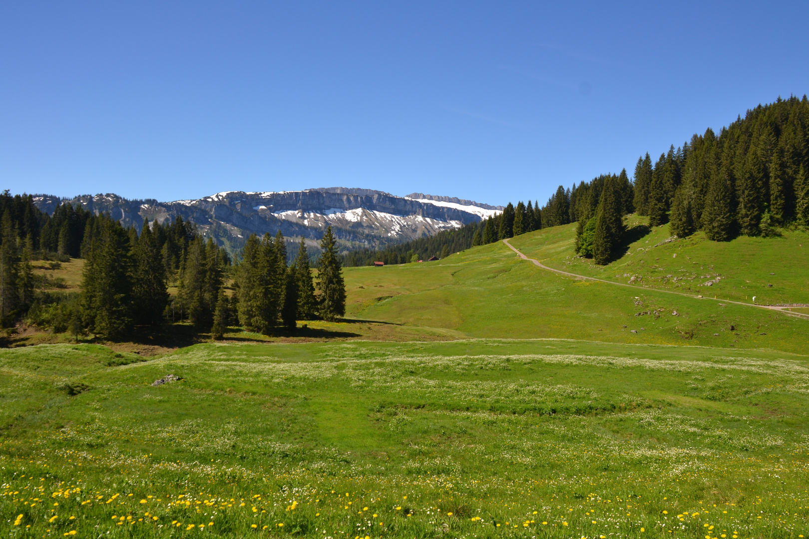 Allgäu_1