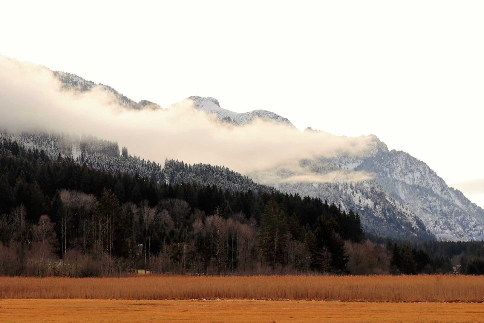 Allgäu_3104 Dez 2018