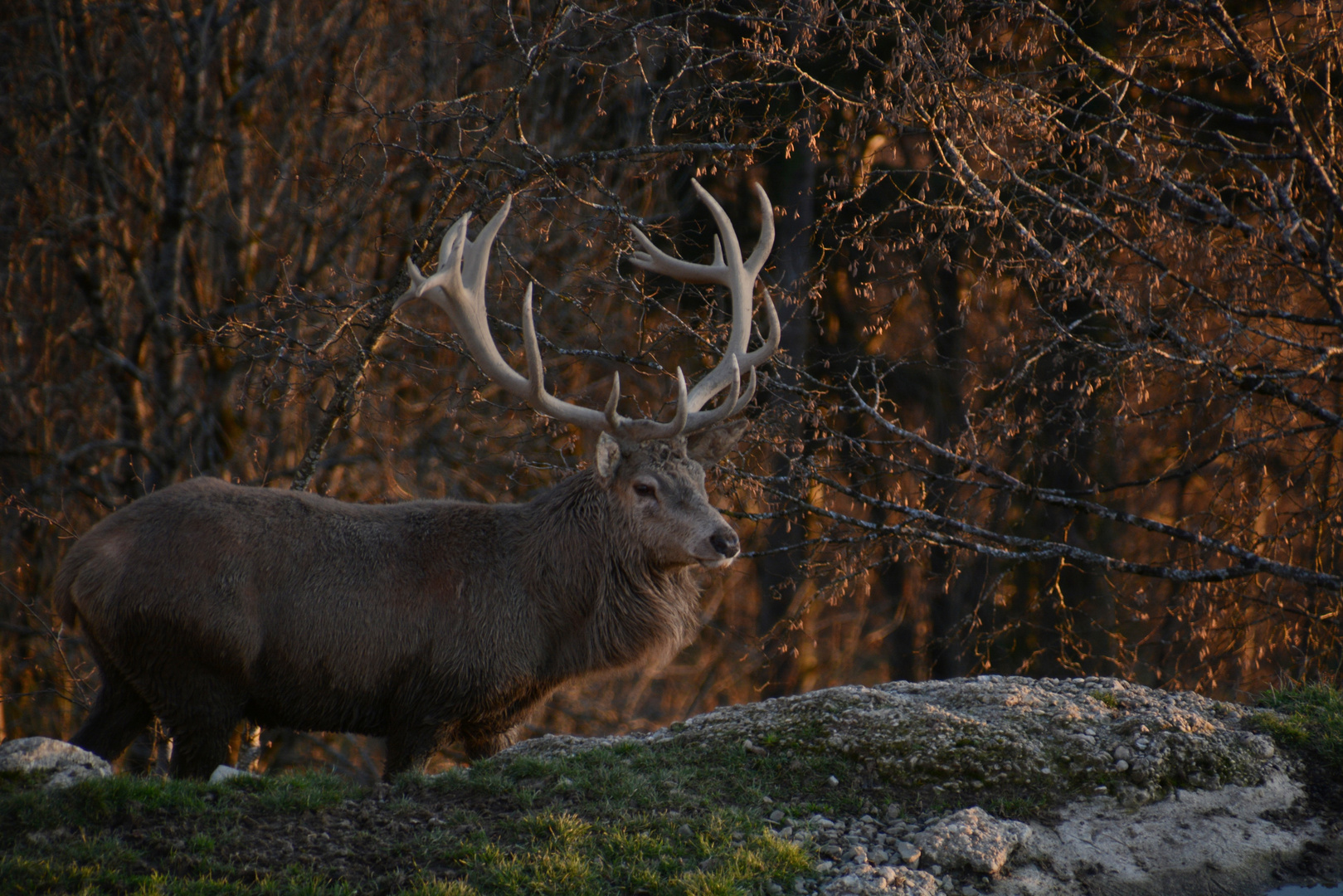 Allgäu34