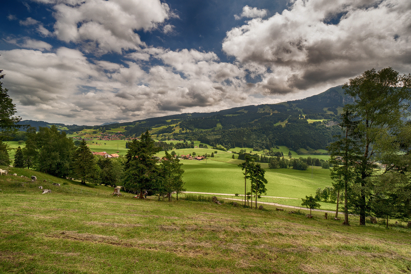 AllgäuBlick