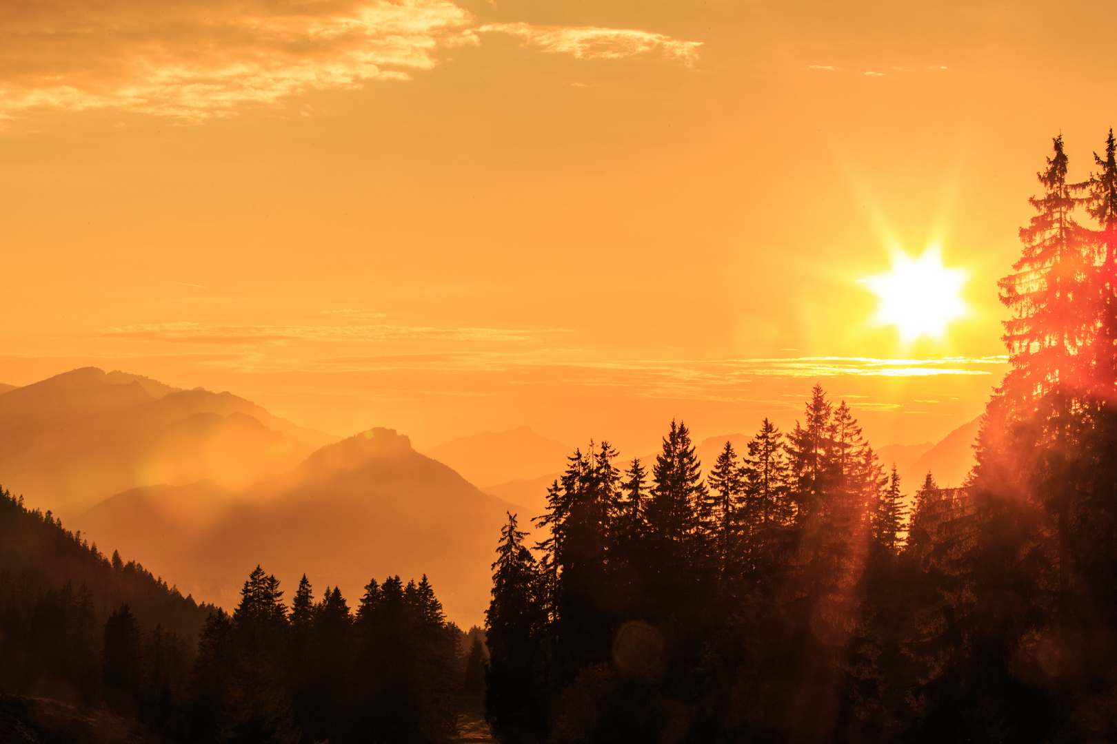 Allgäuer Abendsonne