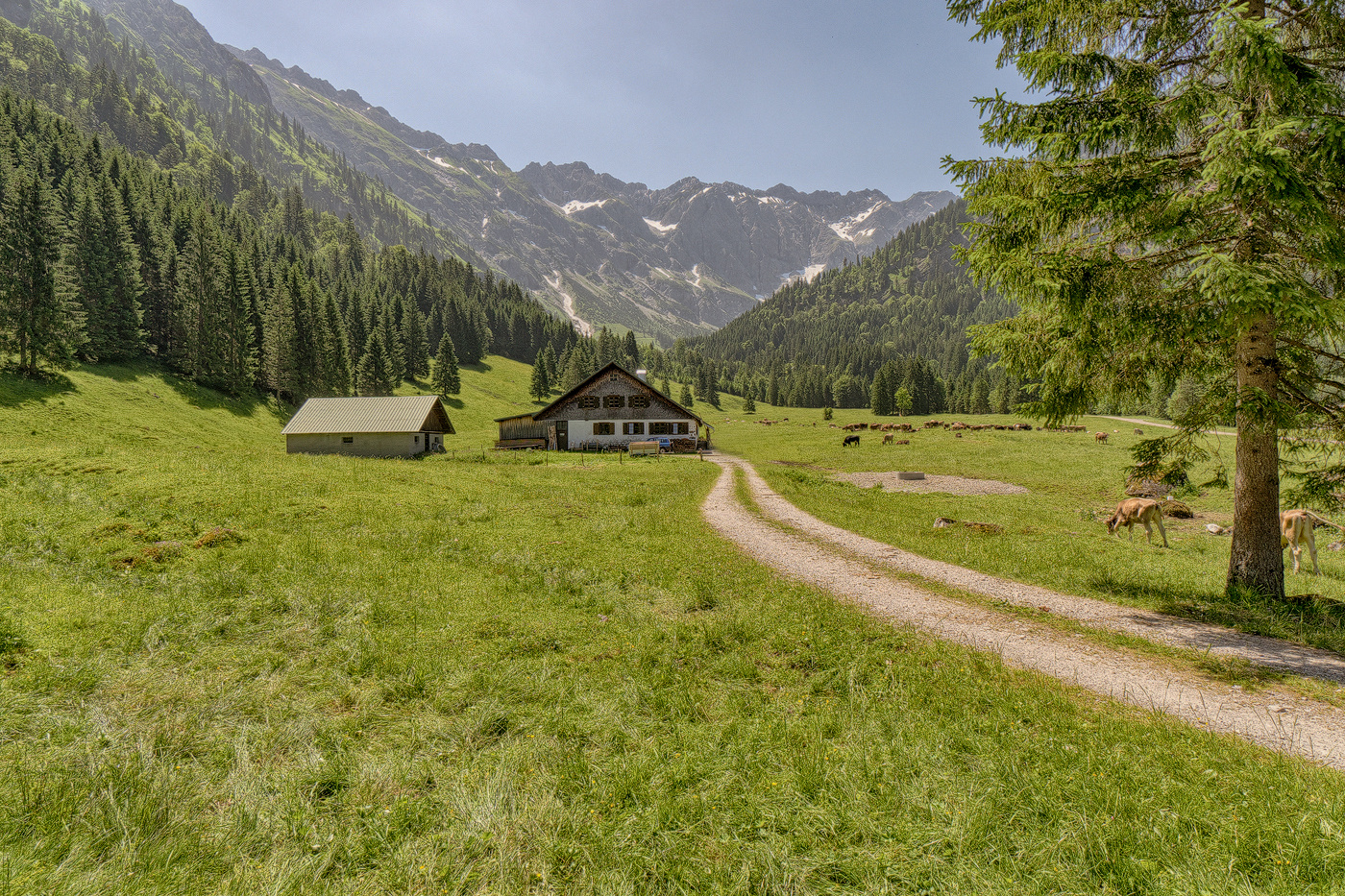 Allgäuer Alpe