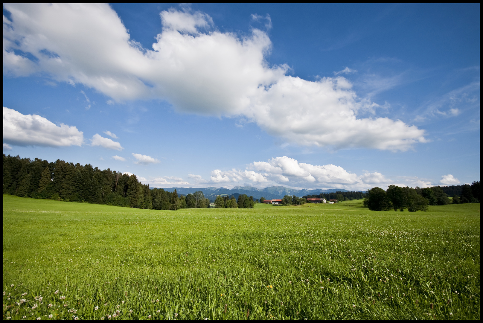 Allgäuer Alpen..