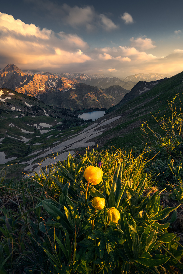 Allgäuer Alpen