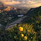 Allgäuer Alpen