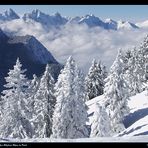 Allgäuer Alpen