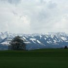 Allgäuer Alpen - Ende April 09