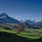 Allgäuer Alpen im Hintergrund