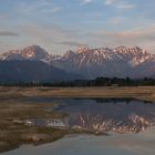 Allgäuer Alpen im Morgenlicht