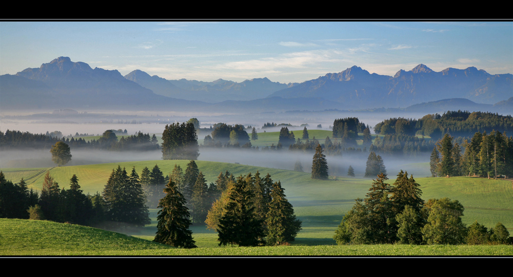 Allgäuer Alpen und Wiesen.