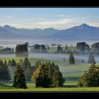 Allgäuer Alpen und Wiesen.