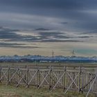 Allgäuer Alpenblick