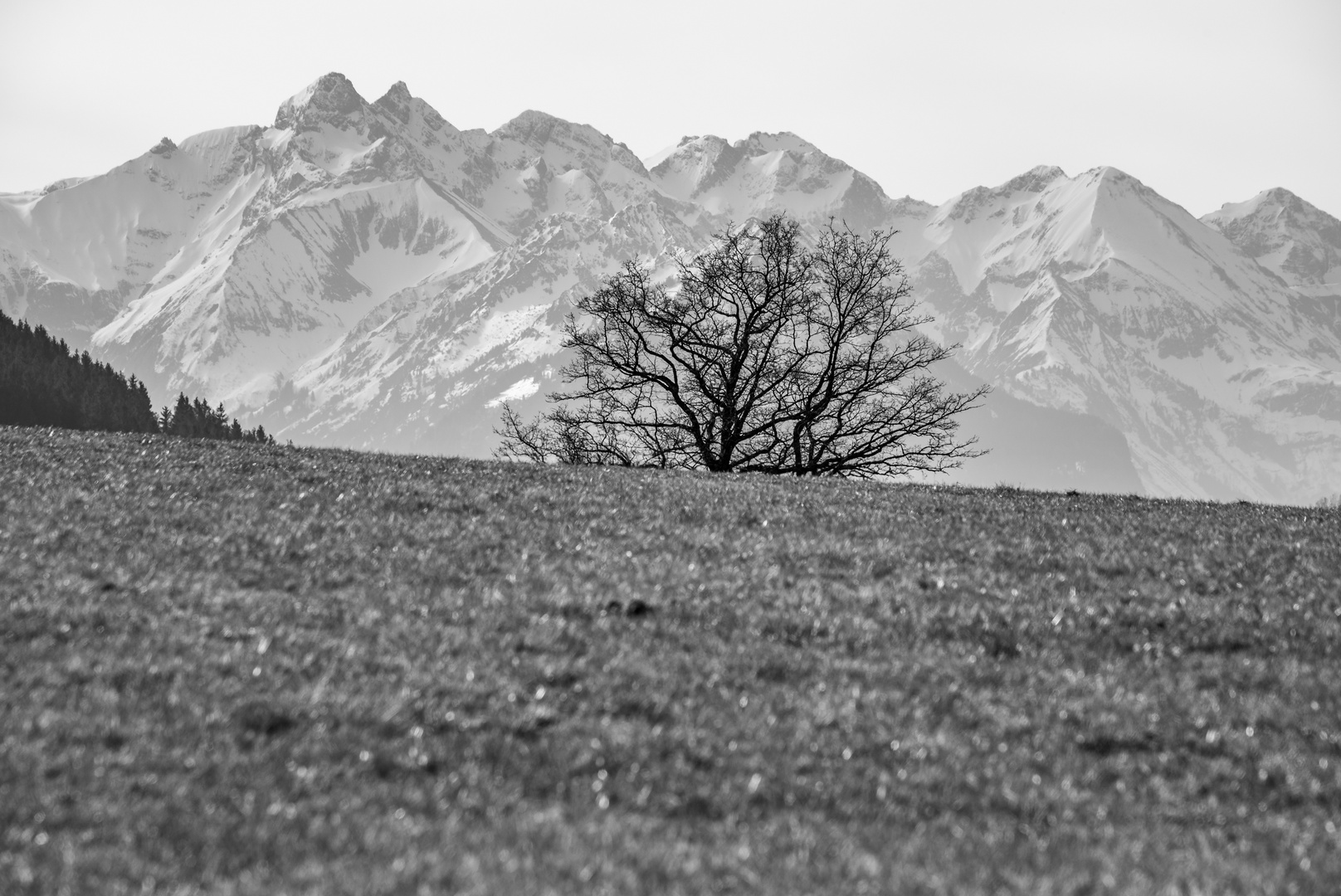 Allgäuer Alpenhauptkamm