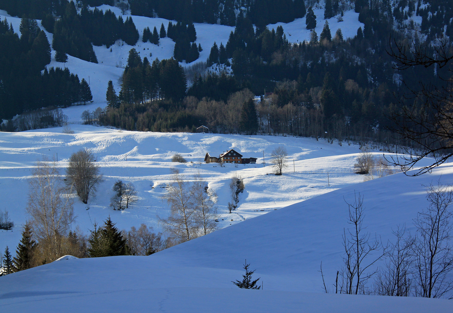 Allgäuer Alpenidylle