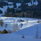 Allgäuer Alpenidylle