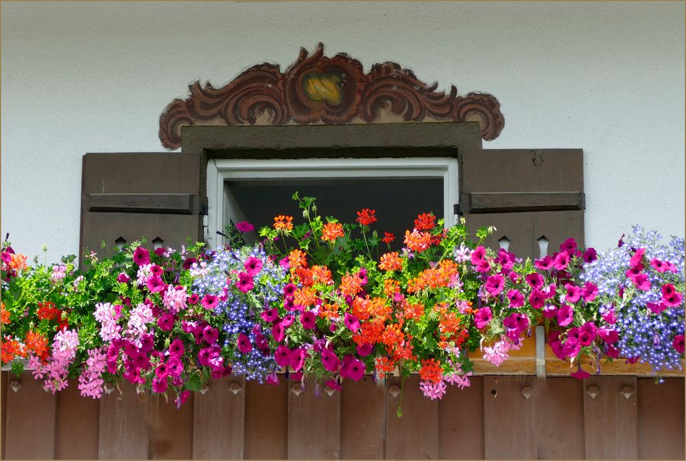 Allgäuer Balkon  