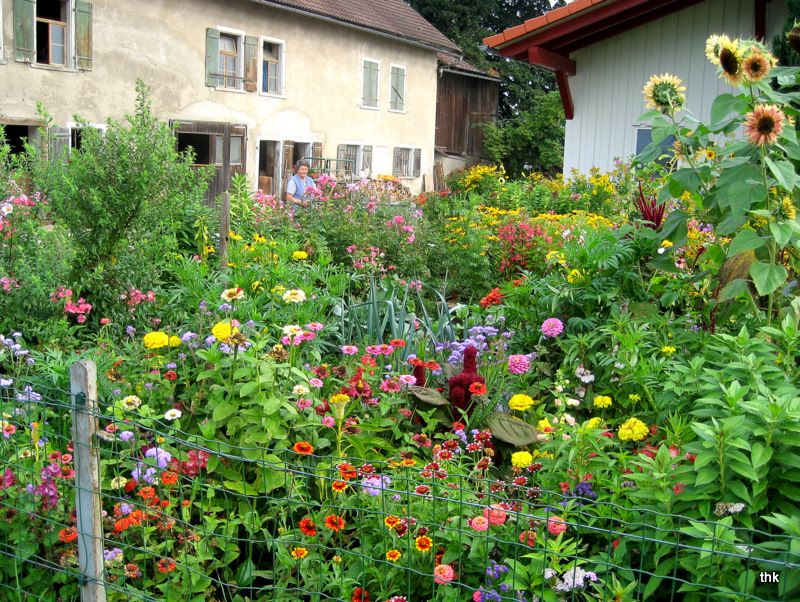 Allgäuer Bauerngarten im Frühherbst Foto & Bild pflanzen, pilze