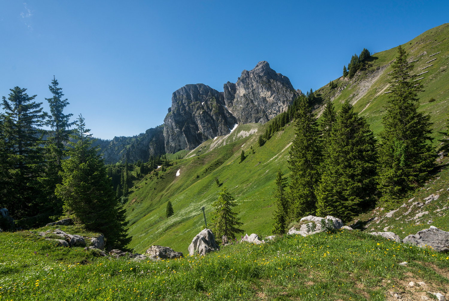 Allgäuer Berge