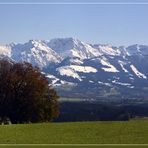 Allgäuer Berge II - unten grün oben weiß