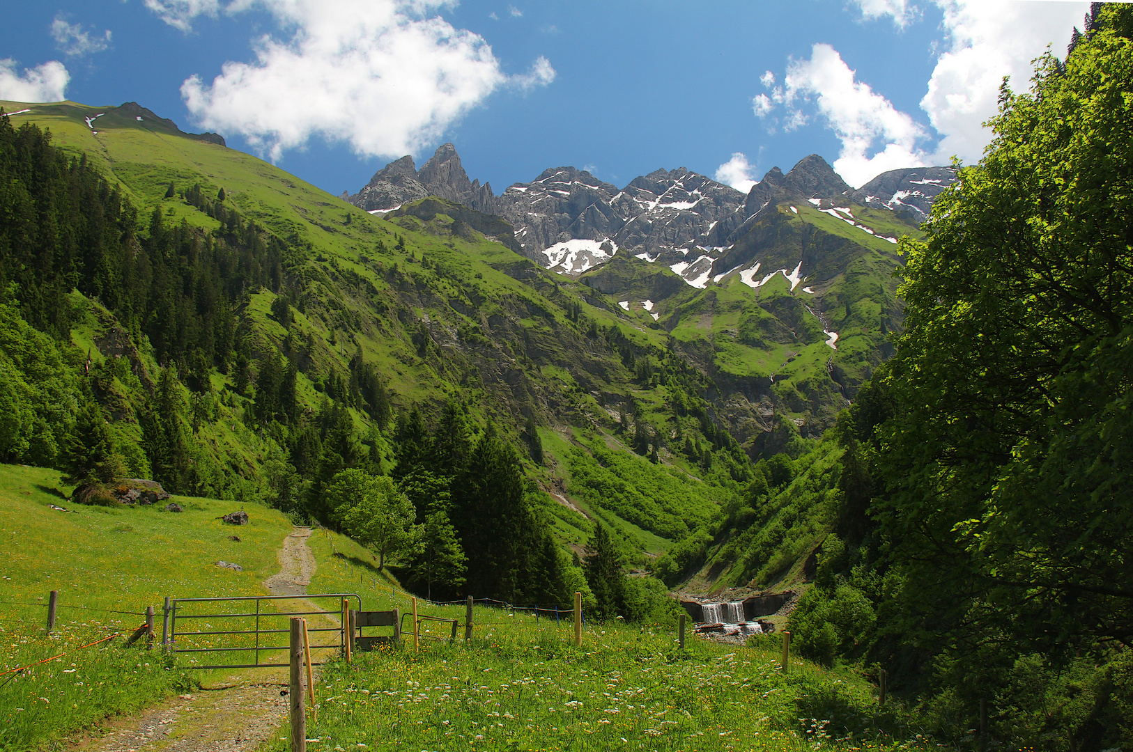 Allgäuer Bergsommer.