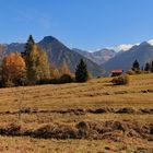 Allgäuer Bergwelt