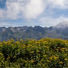 Allgäuer Bergzauber 2