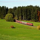 Allgäuer Dieselherbst (V)