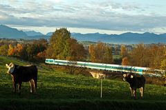 Allgäuer Dieselherbst (VIII)