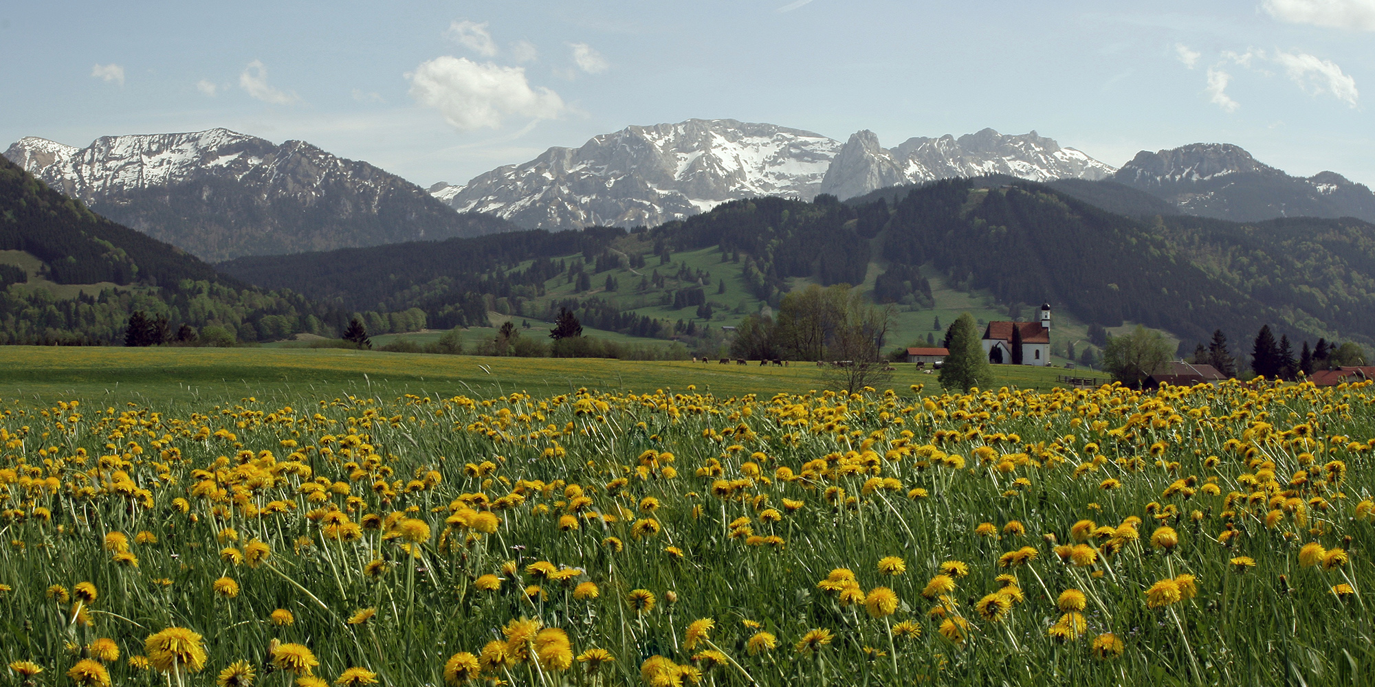 Allgäuer Frühling!