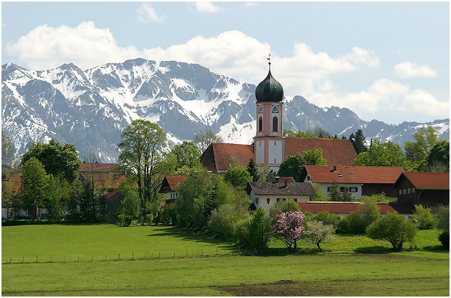 Allgäuer Frühling