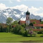 Allgäuer Frühling