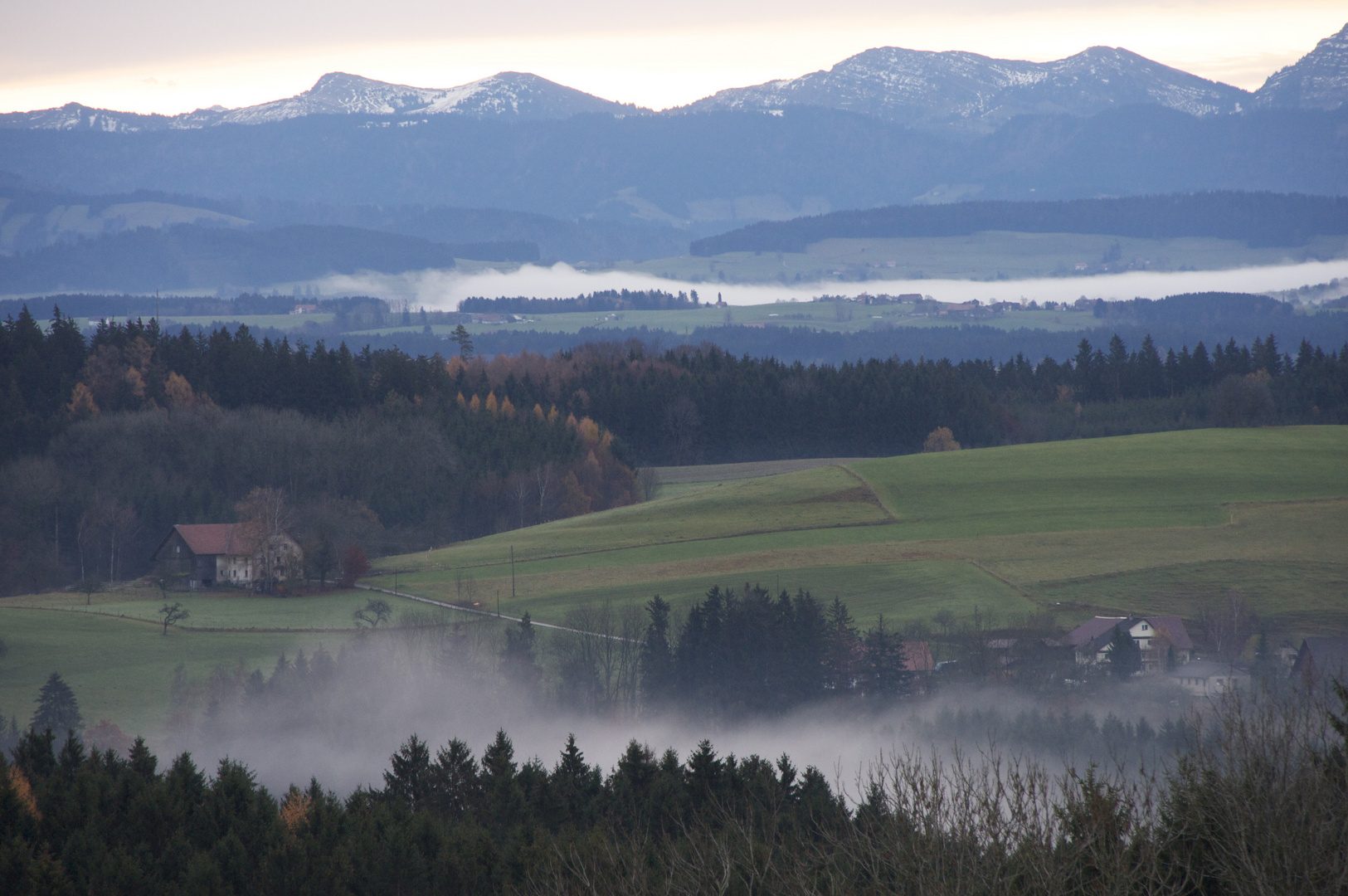 Allgäuer Frühnebel