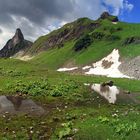 Allgäuer Grasberge!