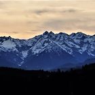 Allgäuer Hauptkamm am Abend 