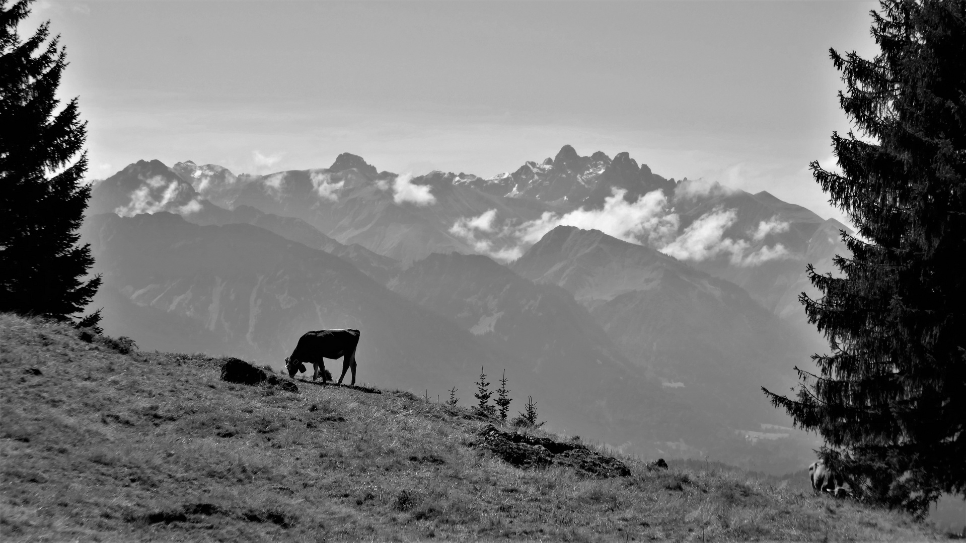 Allgäuer Hauptkamm, monochrom, wie dazumal ...