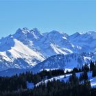 Allgäuer Hauptkamm/Heilbronner Weg