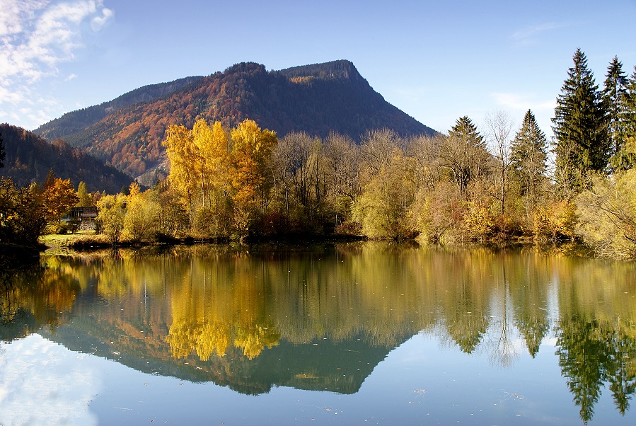 Allgäuer Herbst