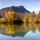 Allgäuer Herbst