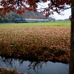 Allgäuer Herbst