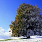 Allgäuer Herbst Winter Kollektion