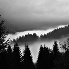 Allgäuer Herbstnebel