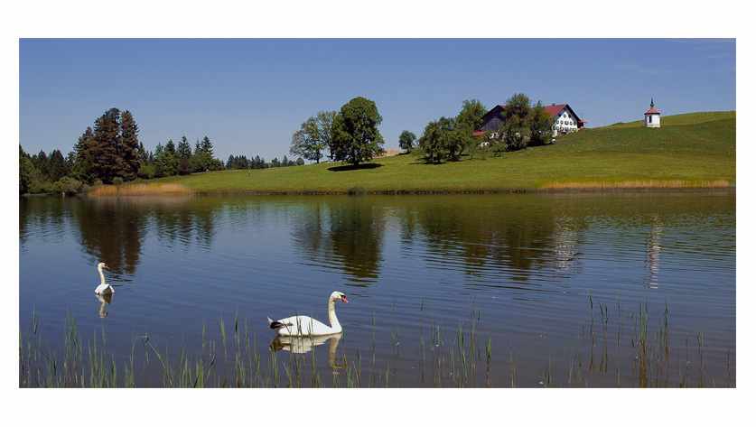 allgäuer idylle...