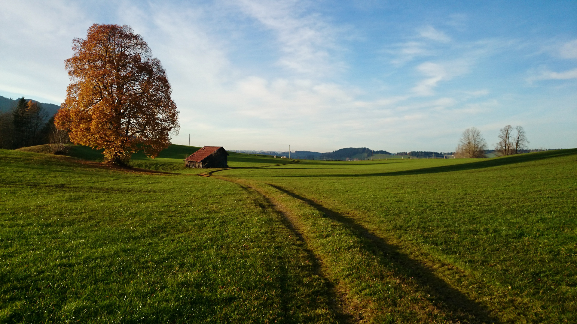 Allgäuer Idylle