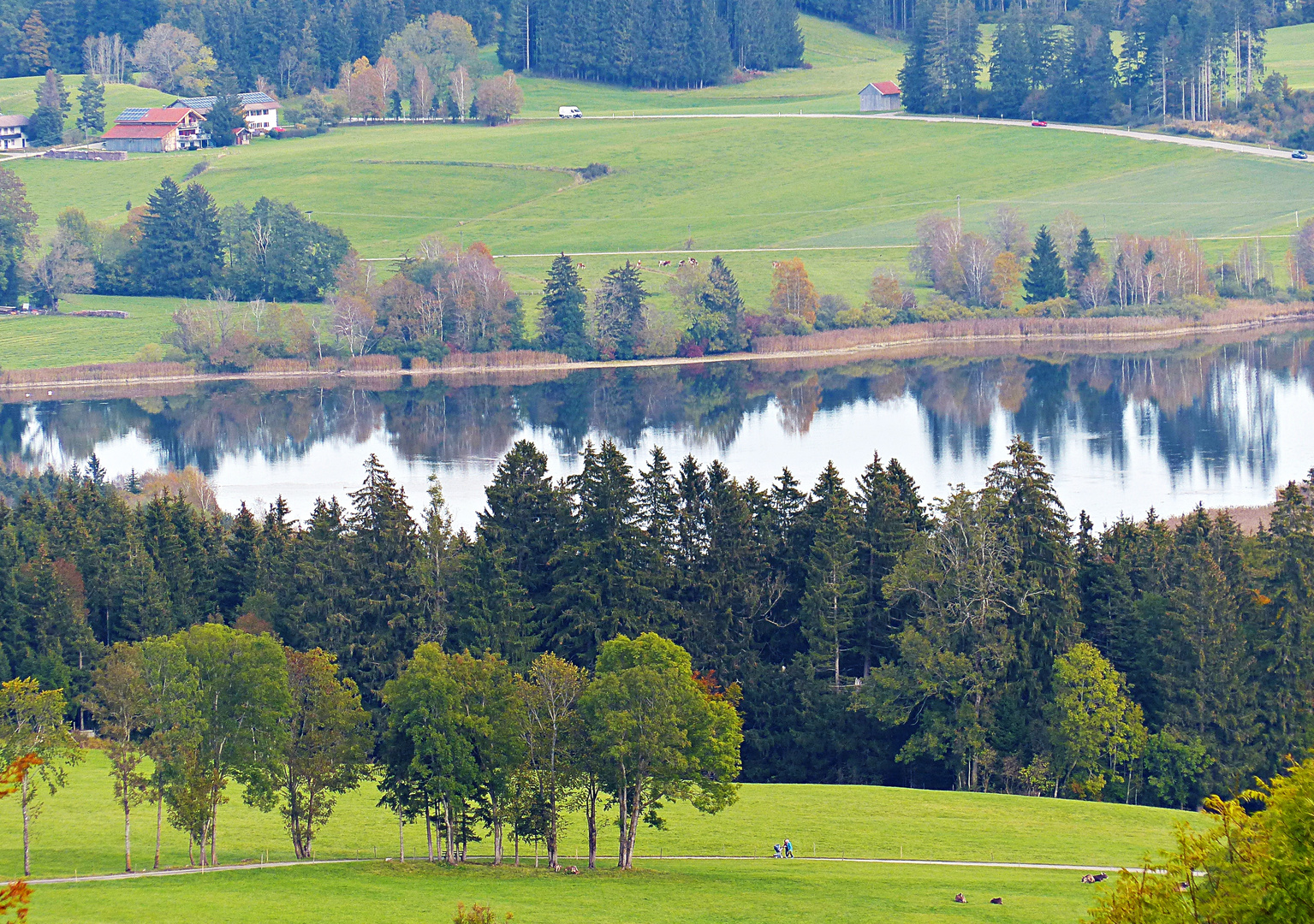 Allgäuer Impression