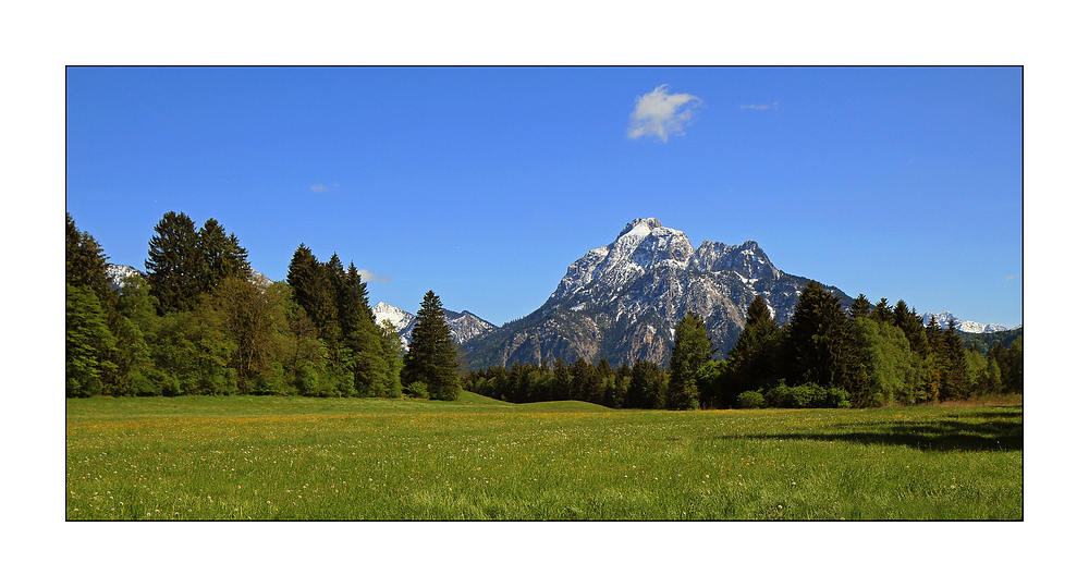 Allgäuer Impressionen 1